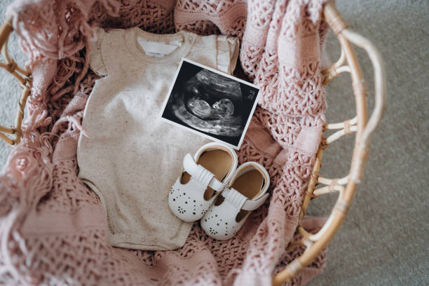 Top view of baby clothing, shoes and ultrasound photo in moses basket. Expecting a new life. Preparing for the new born concept Top view of baby clothing, shoes and ultrasound photo in moses basket. Expecting a new life. Preparing for the new born concept moses basket stock pictures, royalty-free photos & images