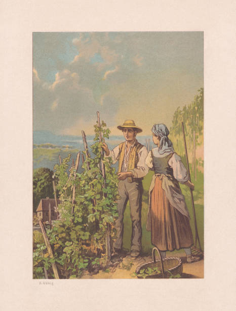 winzere couple in the vineyard, chromolithograph, veröffentlicht 1890 - engraving rural scene engraved image men stock-grafiken, -clipart, -cartoons und -symbole