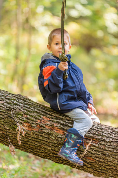 istock Young boy is sitting on Fallen Down Tree Trunk and play with a sword 1352451741