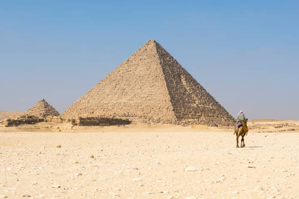 nomade sur un chameau dans le complexe des pyramides de gizeh, egypte - africa archaeology architecture bedouin photos et images de collection