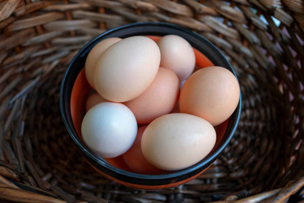 istock Raw eggs in a small bowl in larger basket, freshly collected and ready to be consumed, highly nutritious food ingredient 1352455429