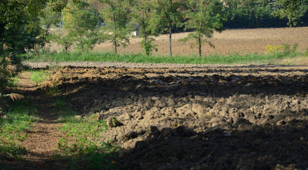 A small strip of land