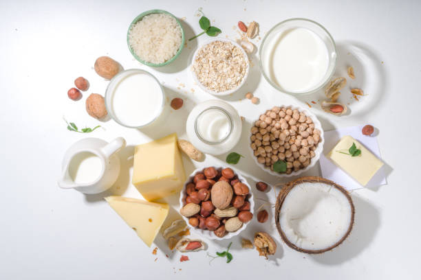 Plant-based alternative non-dairy products Vegan non-dairy products. Plant-based alternative dairy products "u2013 milk, cream, butter, yogurt, cheese, with ingredients - chickpeas, oatmeal, rice, coconut, nuts lactose fermentation stock pictures, royalty-free photos & images