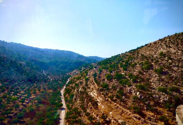 las colinas de judea de palestina - jerusalem hills fotografías e imágenes de stock