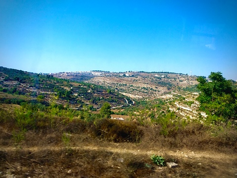 The dazzling landscape of the hills of Beit Jala in Palestine are filled with the lush greenery of farms, orchards, and plenty of olive trees