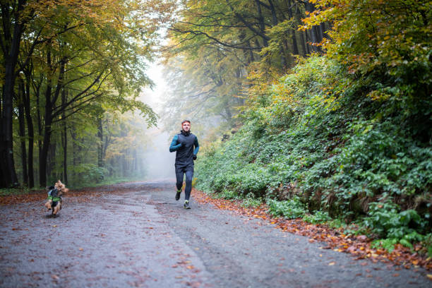 istock Jogging with little friend during beautiful autumn. 1352464971