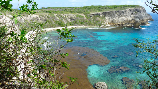 Tropical bay with sargassum