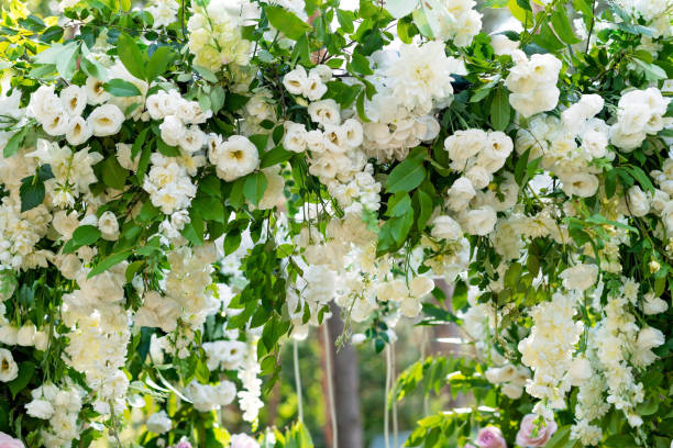 istock Arch for a wedding ceremony from fresh flowers in white, close-up. Soft selective focus. 1352465608