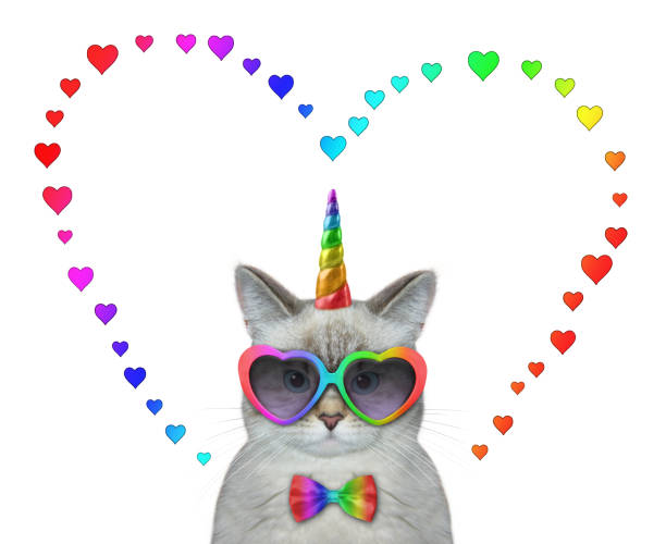 An ashen caticorn wears heart shaped sunglasses and a bow tie. White background. Isolated.