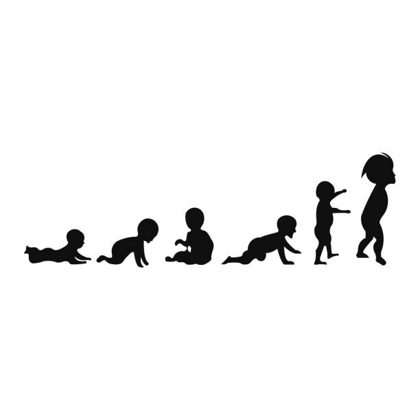 kuvapankkikuvitukset aiheesta tyttövauvan ja miehen kehitys - crawling