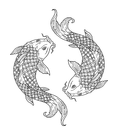 Two koi carps. Yin yang symbol. Vintage vector engraving black monochrome illustration. Isolated on white background. Hand drawn design ink