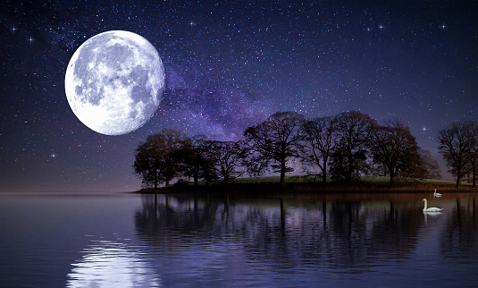 A moonlight lit lake at night