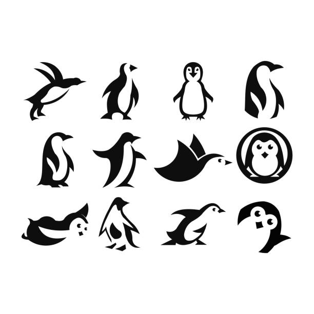 ilustraciones, imágenes clip art, dibujos animados e iconos de stock de conjunto de pingüinos - pingüino
