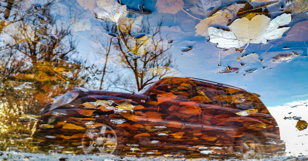 Landscape with reflection in a forest puddle of an SUV contour
