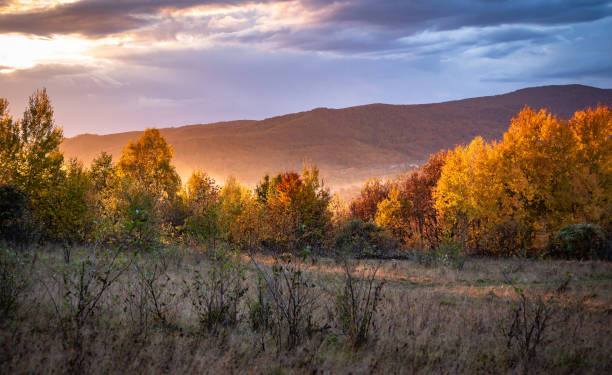 istock Autumn landscape in the Carpathian mountains 1352476725