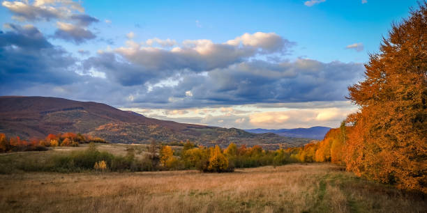 istock Autumn landscape in the Carpathian mountains 1352476763