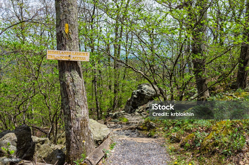 Sunny weather at Wintergreen ski resort village town with steps stairs on nature Highlands leisure hiking trail in forest of Virginia in spring with sign for hike access Gaultheria Stock Photo