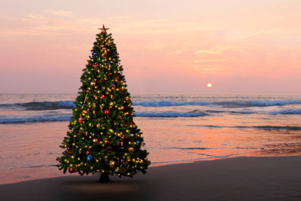 Christmas Tree On The Beach At Sunset stock photo