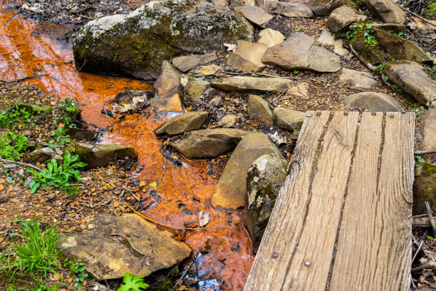 shamokin springs natureza preservar trilha de caminhada em wintergreen ski resort cidade cidade com pequeno riacho fluindo e pranchas de madeira ponte cruzando na virgínia na primavera - blue ridge mountains stream forest waterfall - fotografias e filmes do acervo