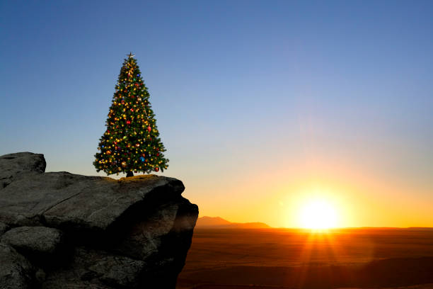 istock Christmas Tree On Promontory With Sunset In Background 1352478862