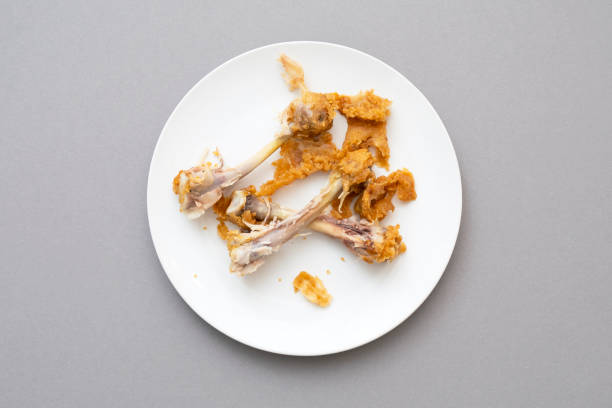 Messy food leftover, chicken bones as fast food on the ceramic white plate, top view Messy food leftover, chicken bones as fast food on the ceramic white plate, top view messy vs clean desk stock pictures, royalty-free photos & images