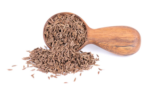 cumin seeds in wooden spoon, isolated on white background. dry caraway seeds. - caraway imagens e fotografias de stock