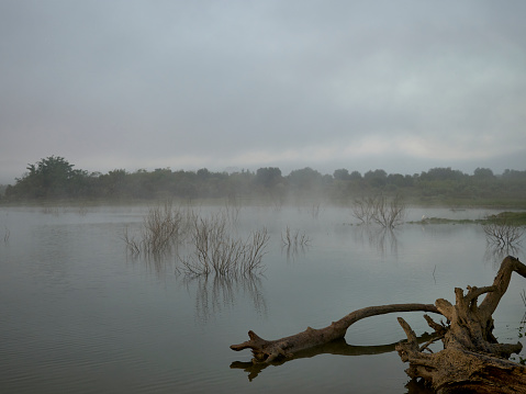 Foggy morning at the reservoir, Bellus, Spain