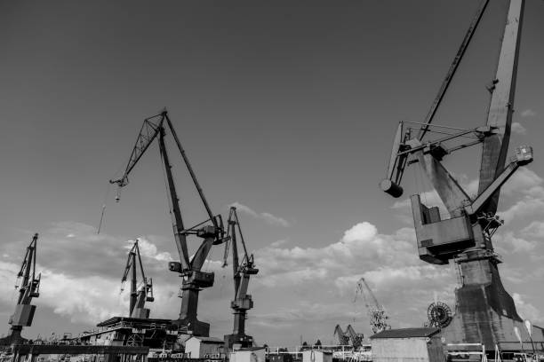Port cranes in black and white colors