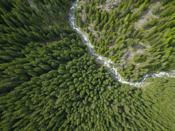 istock Latorita river and gorges 1352479654