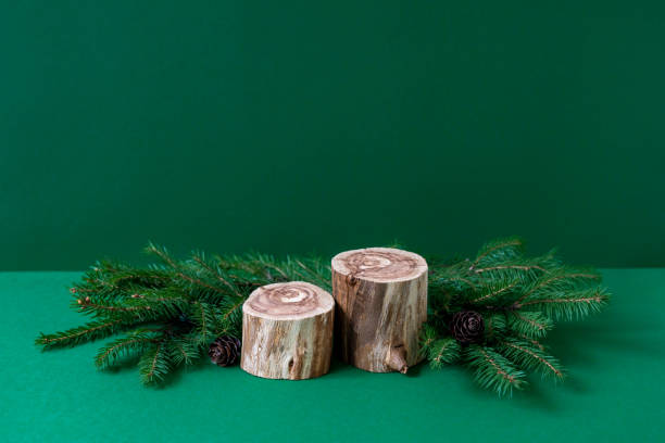istock Two empty wooden podiums, fir tree branches and small cones on green background. Natural showcase for eco cosmetic presentation. Festive New year sale mockup. Front view, copy space 1352480744