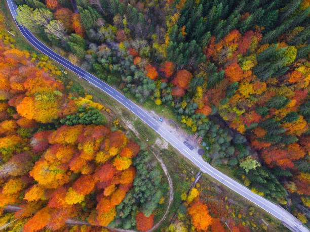 istock Autumn in Latorita Massif 1352482495