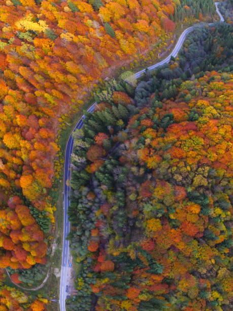 istock Colored autumn in Latorita Massif. 1352482601