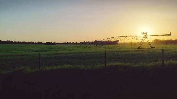 istock Sunset behind Pasture Irrigation Sprinkler 1352482603