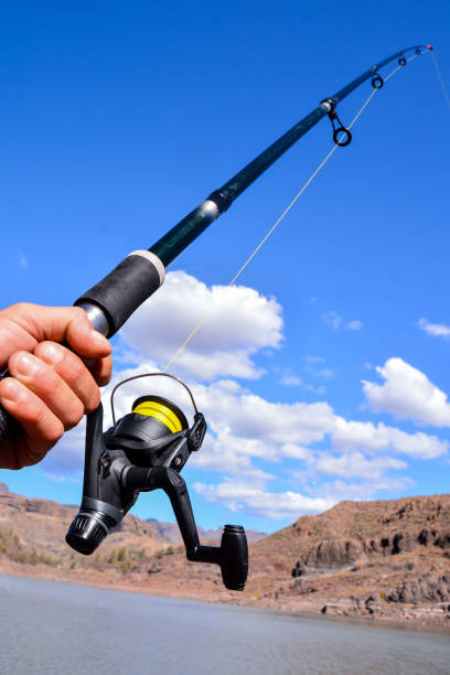 istock Fishing with rod on lake 1352482866