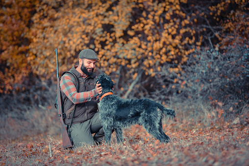 Hunter with his german wirehaired dog walking in the forest