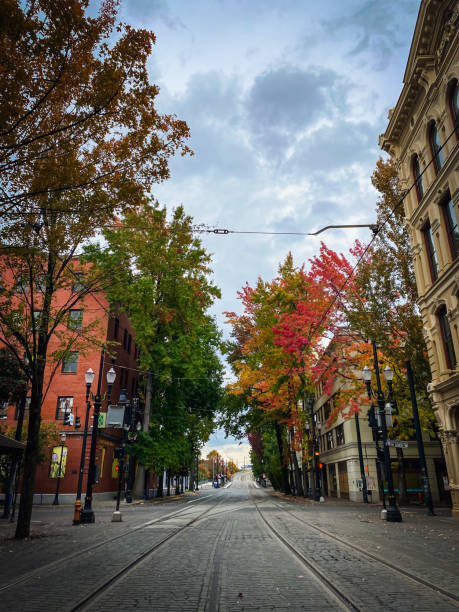 istock Autumn no people Chinatown downtown Portland fall colors max trail train cement intersection 1352484061