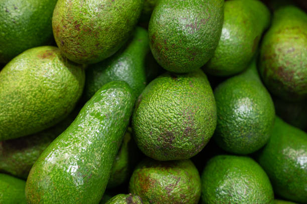 istock Tasty organic avocado 1352484191