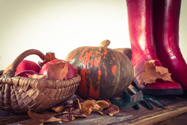 istock Beautiful autumn and thanksgiving still life; 1352484587
