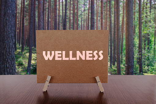 Wellness text on card on the table with pine forest background.
