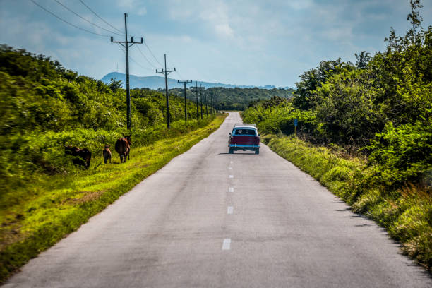 сельская дорога недалеко от тринидада, куба - cuba rural scene non urban scene day стоковые фото и изображения