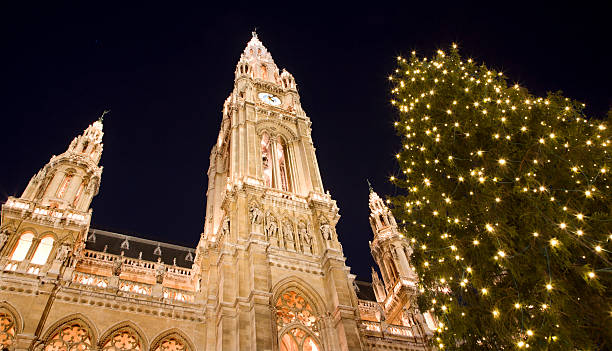istock Vienna - town hall and christmas tree 135248949
