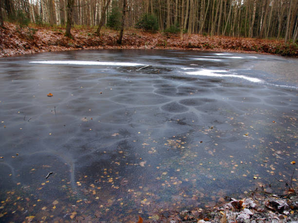 Photo of Small lake covered with ice with fallen leaves frozen inside
