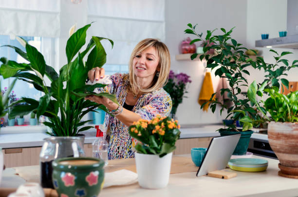 istock Taking care of houseplants 1352495757