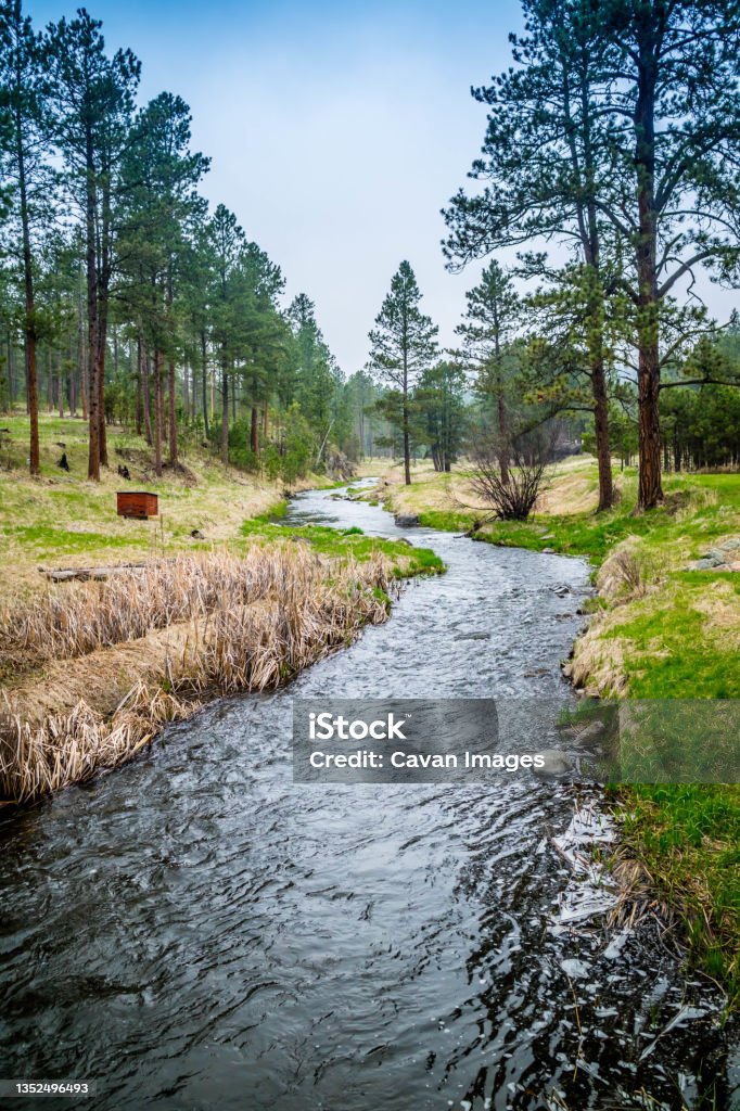 The French Creek in Custer State Park, South Dakota The French Creek in Custer State Park, South Dakota in Custer, South Dakota, United States Awe Stock Photo