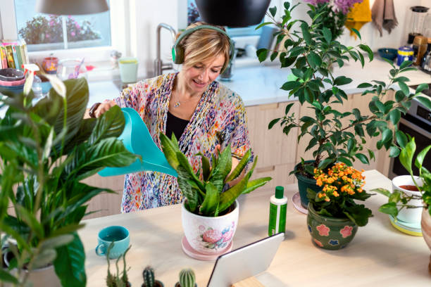 istock Taking care of houseplants 1352496581