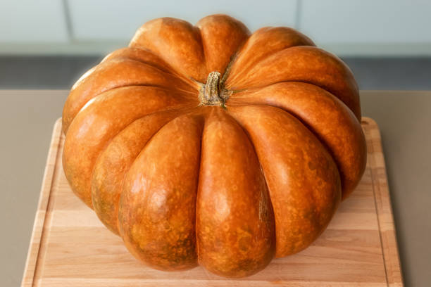 istock Large orange juicy pumpkin close up 1352496658