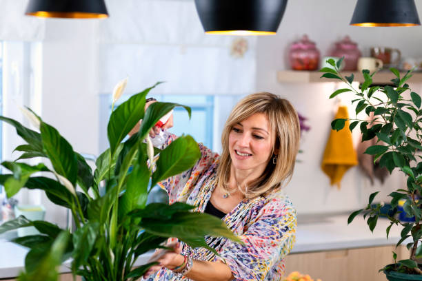 istock Taking care of houseplants 1352496794