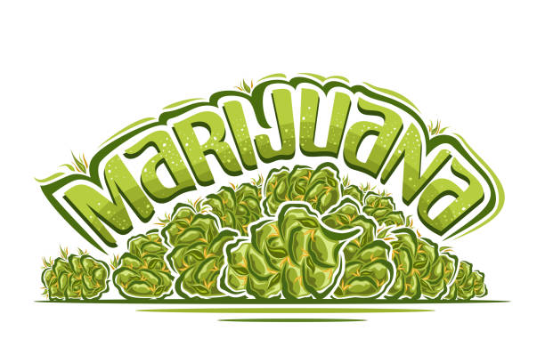 stockillustraties, clipart, cartoons en iconen met vector logo for marijuana - marihuana gedroogde cannabis