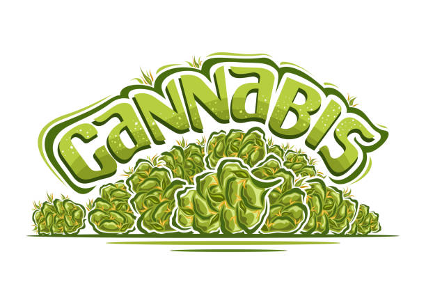 330 Cartoon Of A Marijuana Buds Illustrations & Clip Art - iStock