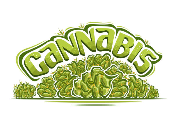 330 Cartoon Of A Marijuana Buds Illustrations & Clip Art - iStock 330 Cartoon Of A Marijuana Buds Illustrations & Clip Art - iStock